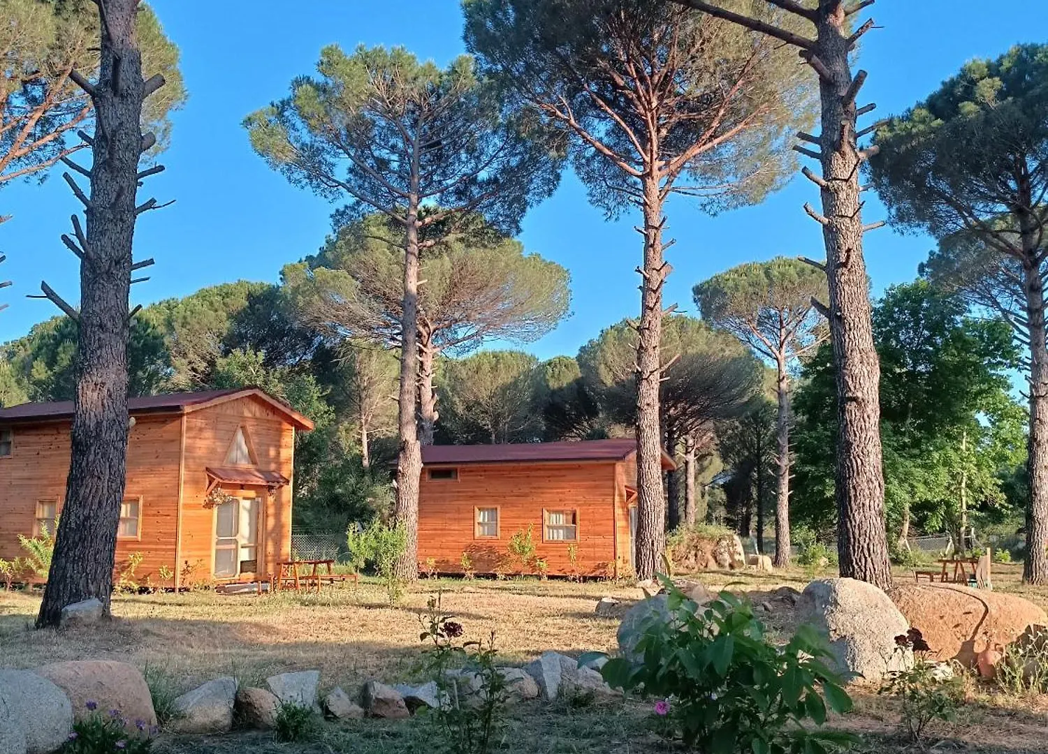 Badece Farm Yellow House Bergama