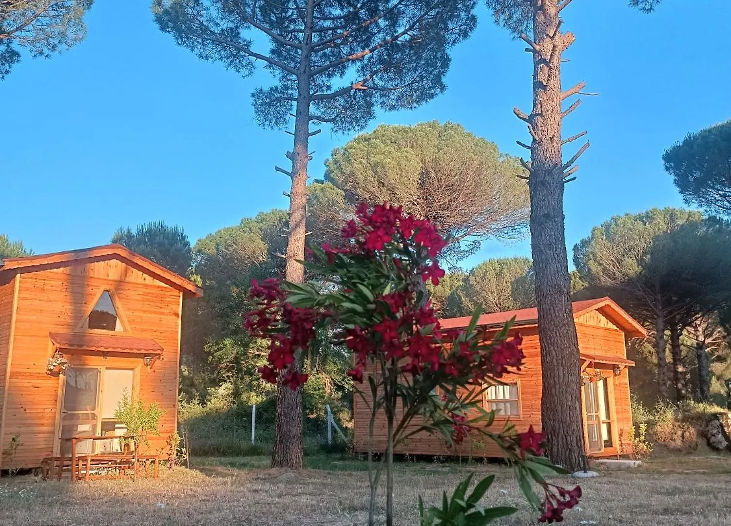 Badece Farm Yellow House Bergama 0*,