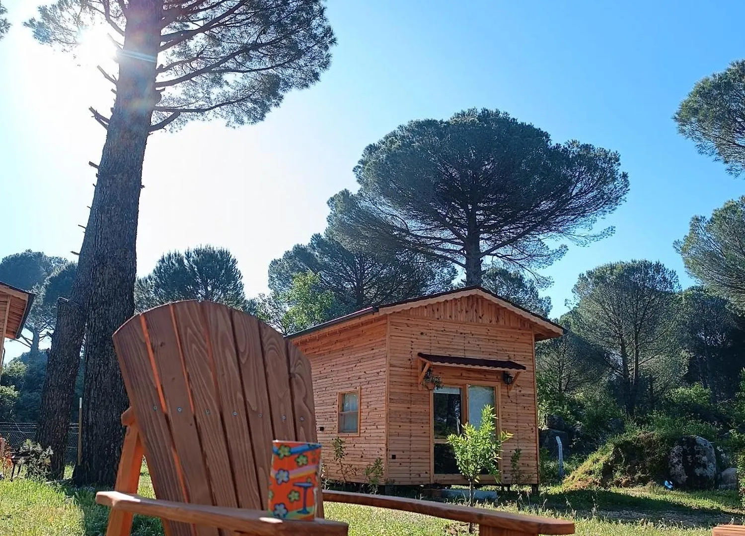 Badece Farm Yellow House Bergama Turkey